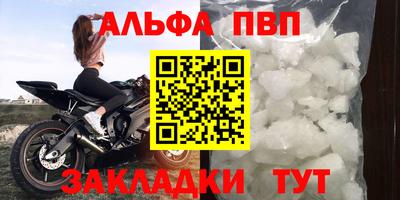 jwh Кингисепп