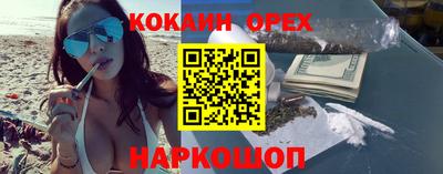 jwh Кингисепп