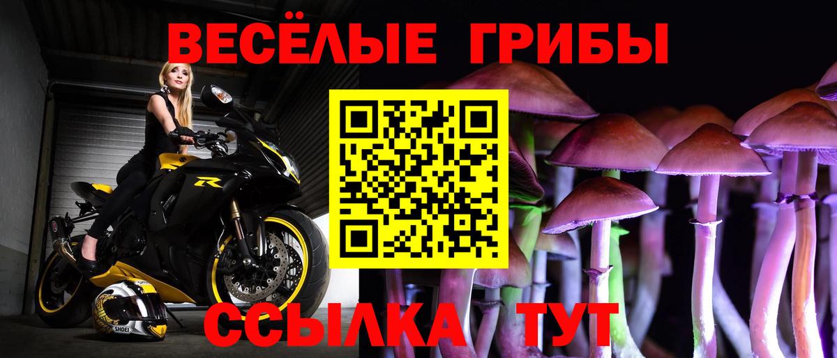 Псилоцибиновые грибы Psilocybine cubensis  Псилоцибиновые грибы ЛСД  Вход с VPN  Карачаевск 